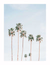 Tall palm trees with slender trunks and leafy tops stand against a pale blue sky in the Desert Palms Unframed Art Print by Urban Road, adding serene, minimalistic charm to any space.