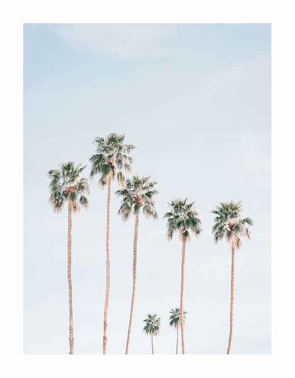 Tall palm trees with slender trunks and leafy tops stand against a pale blue sky in the Desert Palms Unframed Art Print by Urban Road, adding serene, minimalistic charm to any space.