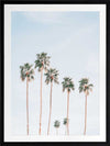 Desert Palms Poster Framed Art Print