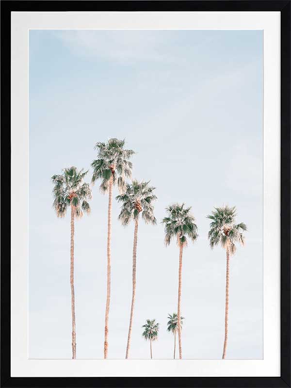 Desert Palms Poster Framed Art Print