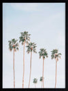 Desert Palms Poster Framed Art Print