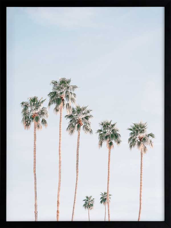 Desert Palms Poster Framed Art Print