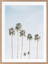 Desert Palms Poster Framed Art Print