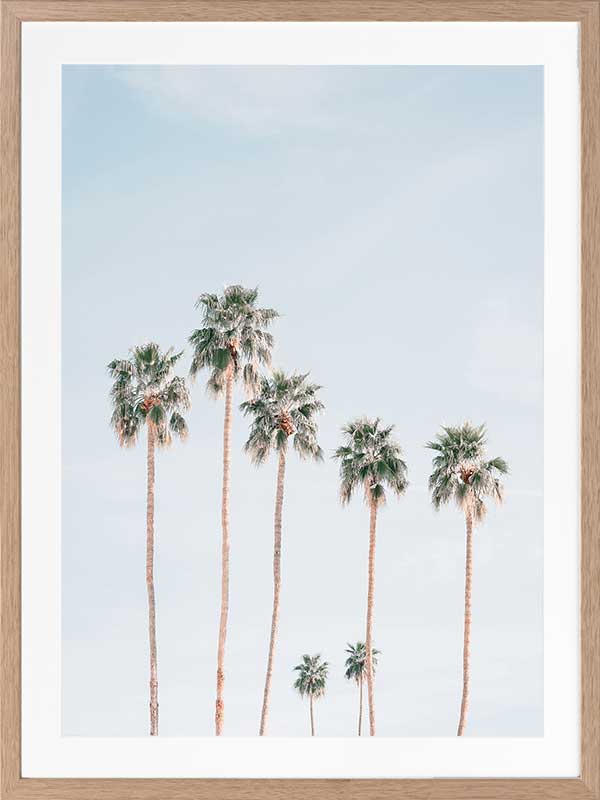 Desert Palms Poster Framed Art Print