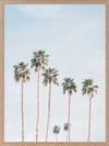 Desert Palms Poster Framed Art Print