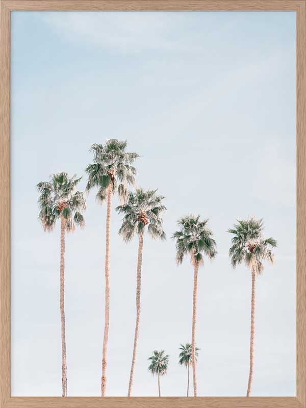 Desert Palms Poster Framed Art Print