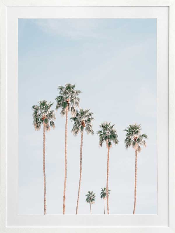 Desert Palms Poster Framed Art Print