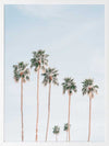 Desert Palms Poster Framed Art Print