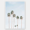 Desert Palms Unframed Art Print