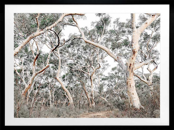 Gum Tree Forrest Poster Framed Art Print