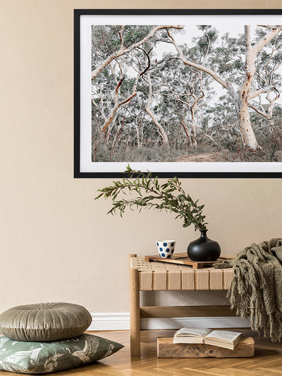 Gum Tree Forrest Poster Framed Art Print | Lifestyle