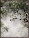 Misty Gum Trees Canvas Art Print