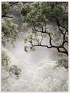 Misty Gum Trees Canvas Art Print