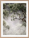 Misty Gum Trees Poster Framed Art Print