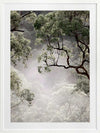 Misty Gum Trees Poster Framed Art Print