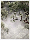 Misty Gum Trees Poster Framed Art Print