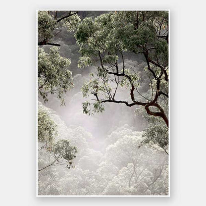 Misty Gum Trees Unframed Art Print