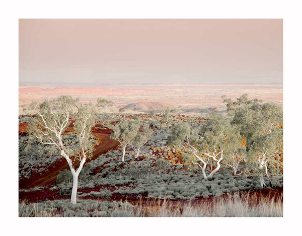 A dusty red dirt road winds through pale green trees and low shrubs under a pastel sky, capturing the spirit of the Pilbara Unframed Art Print by Urban Road with its iconic red earth and distant fading hills.