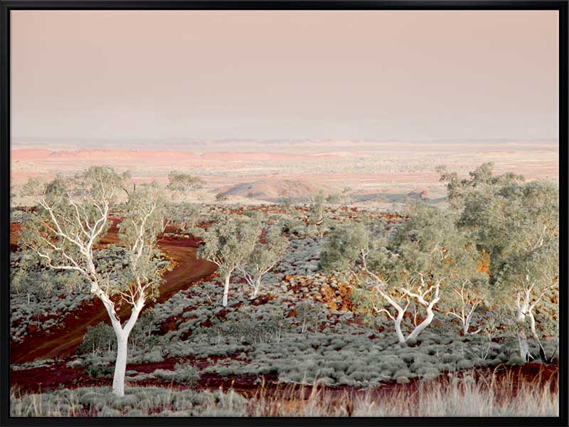 Pilbara Canvas Art Print