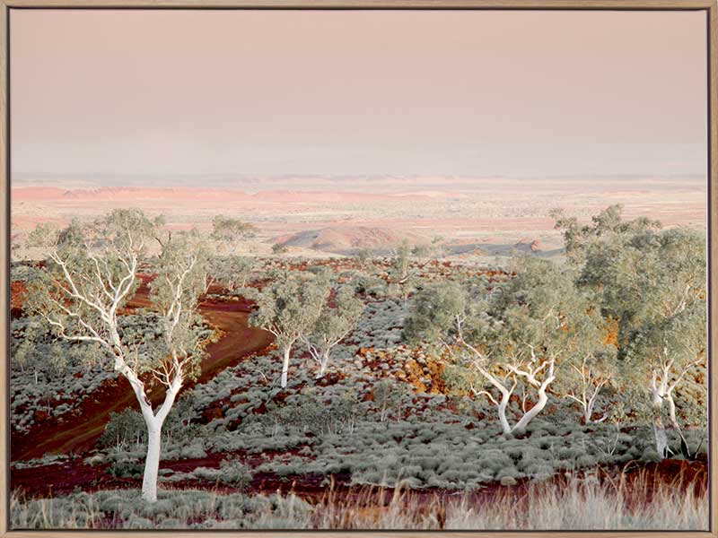 Pilbara Canvas Art Print