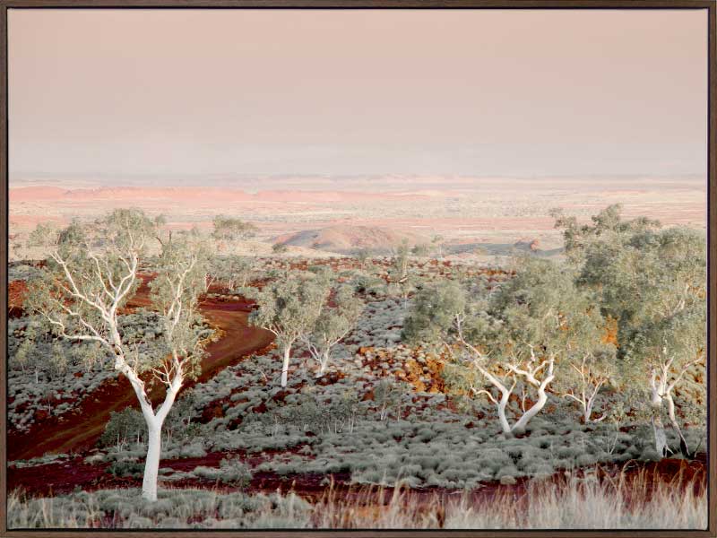 Pilbara Canvas Art Print