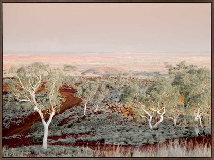 Pilbara Canvas Art Print