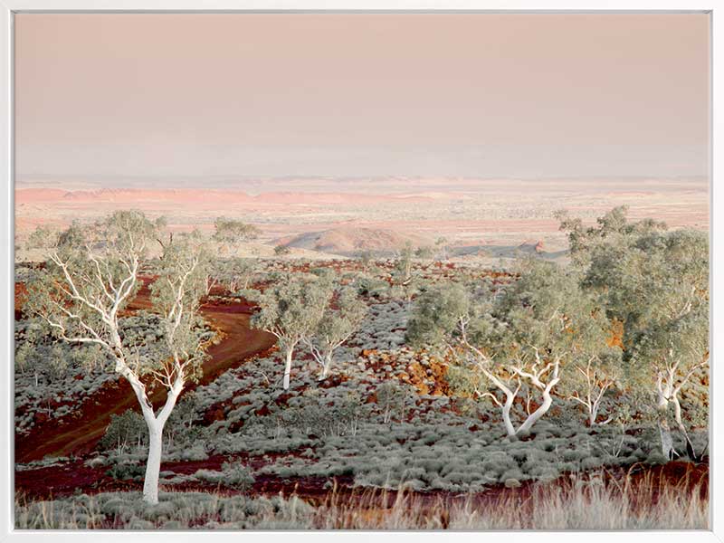 Pilbara Canvas Art Print