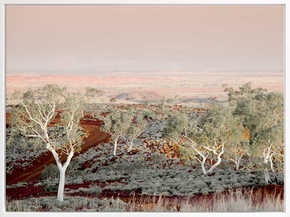 Pilbara Canvas Art Print