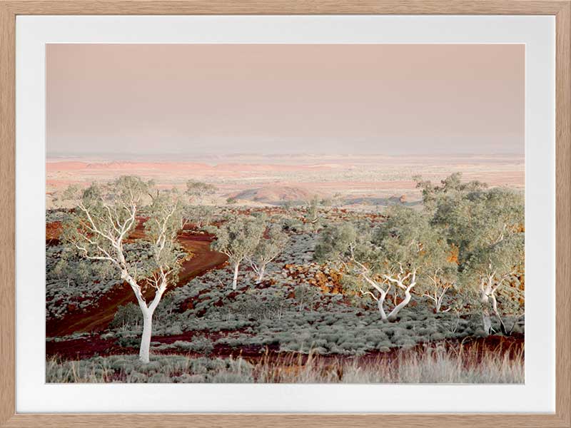 Pilbara Poster Framed Art Print