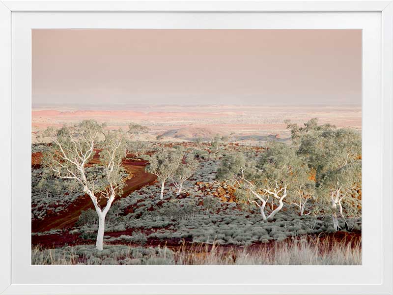 Pilbara Poster Framed Art Print
