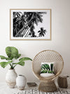 Black and White Palms Poster Framed Art Print | Lifestyle