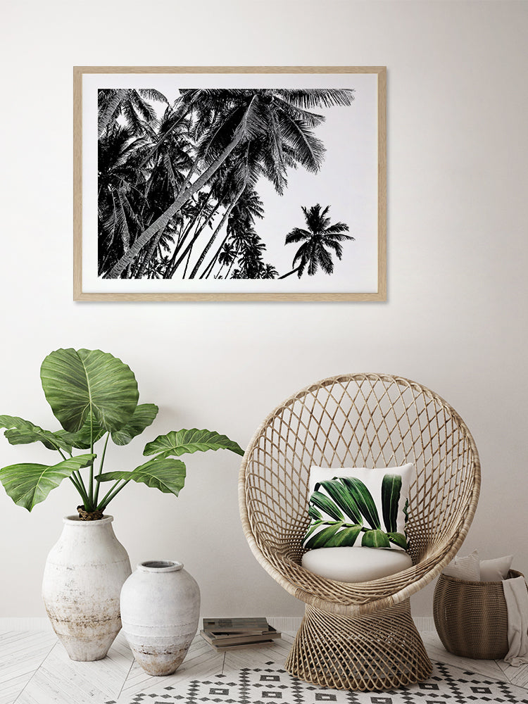 Black and White Palms Poster Framed Art Print | Lifestyle
