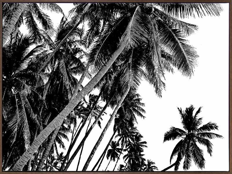 Black and White Palms Canvas Art Print