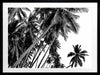 Black and White Palms Poster Framed Art Print