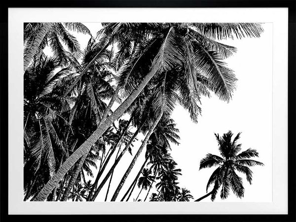 Black and White Palms Poster Framed Art Print