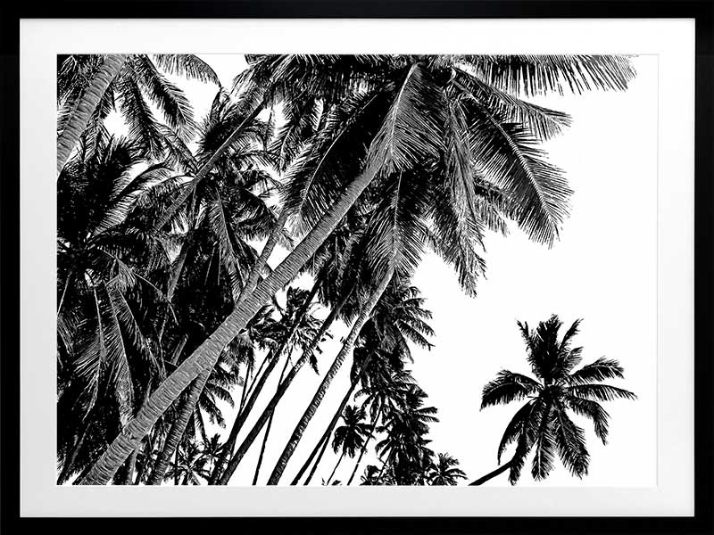 Black and White Palms Poster Framed Art Print