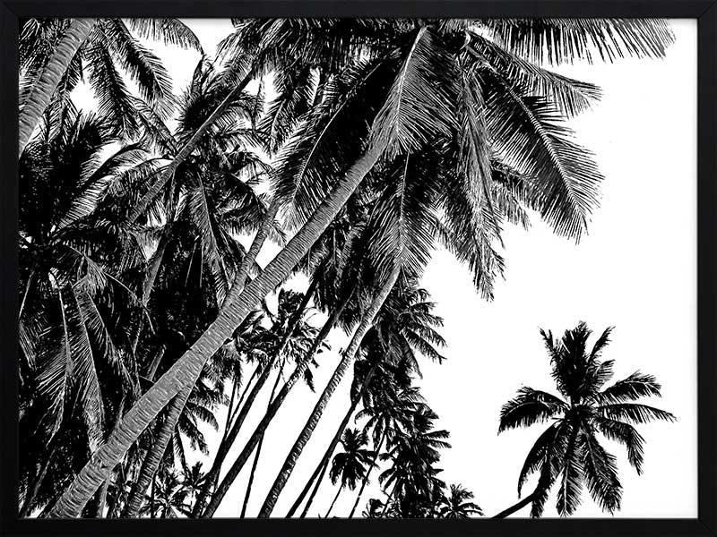 Black and White Palms Poster Framed Art Print