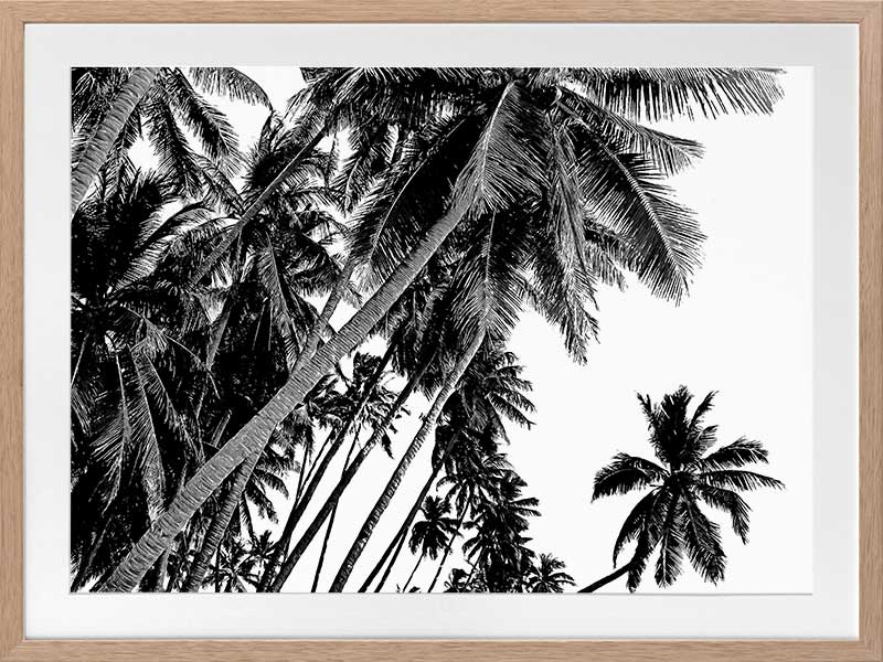 Black and White Palms Poster Framed Art Print