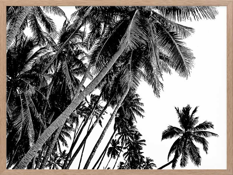 Black and White Palms Poster Framed Art Print