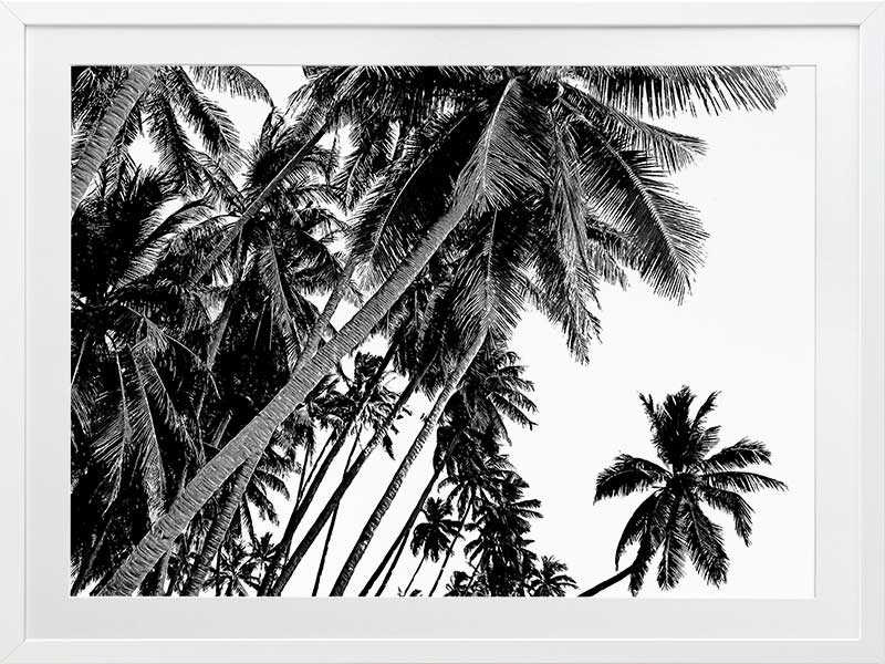 Black and White Palms Poster Framed Art Print
