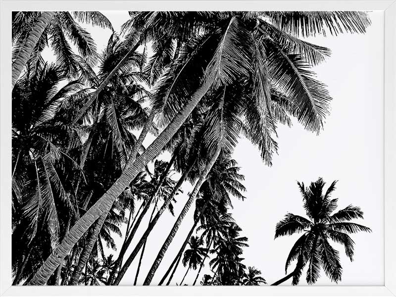 Black and White Palms Poster Framed Art Print