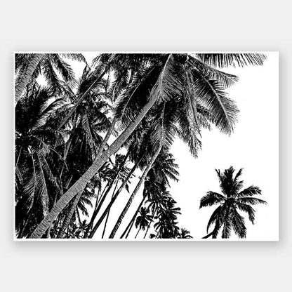 Black and White Palms Unframed Art Print