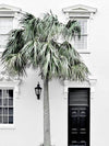Palm Street Canvas Art Print