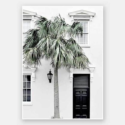 Palm Street Unframed Art Print