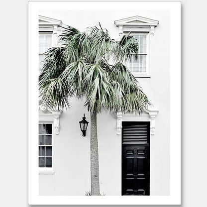 Palm Street Unframed Art Print