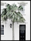 Palm Street Canvas Art Print