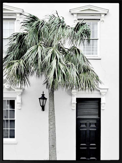 Palm Street Canvas Art Print