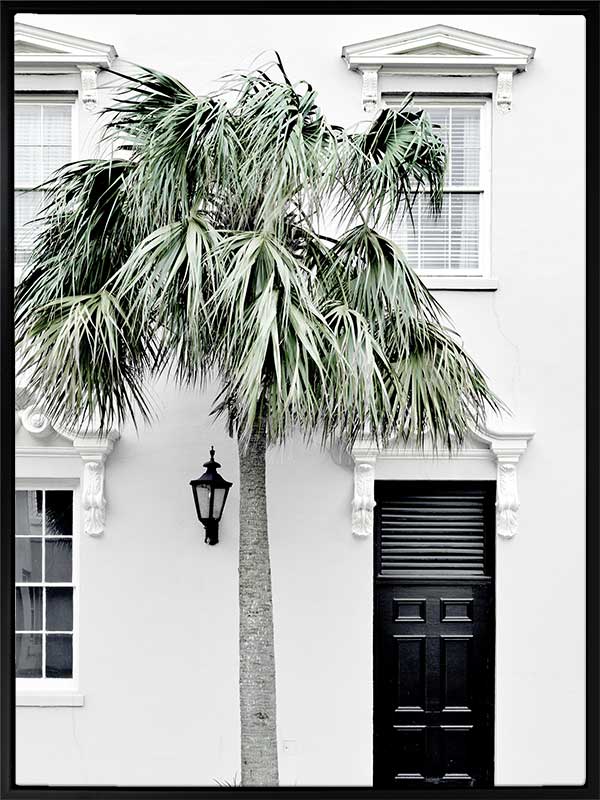 Palm Street Canvas Art Print
