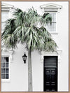 Palm Street Canvas Art Print