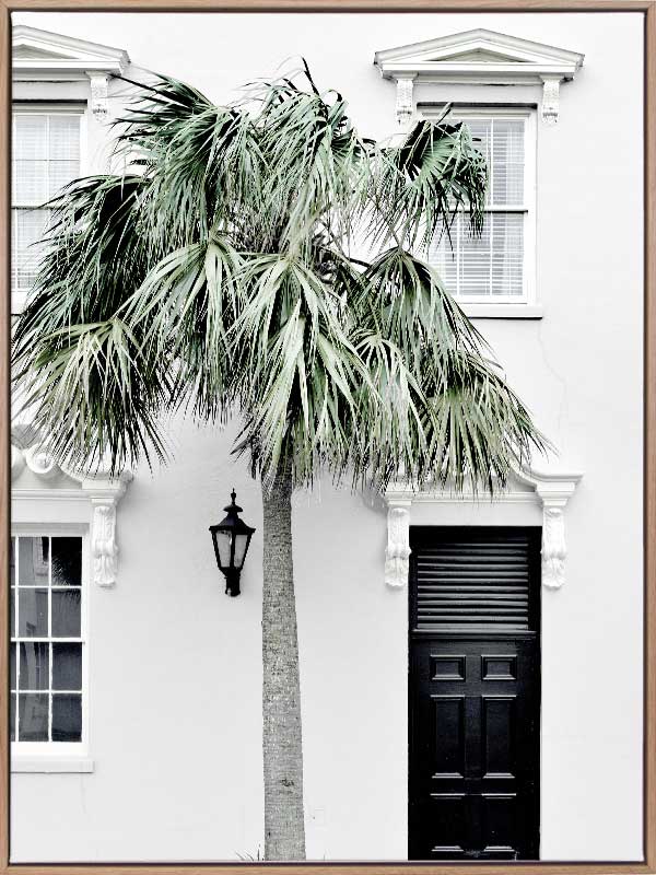 Palm Street Canvas Art Print